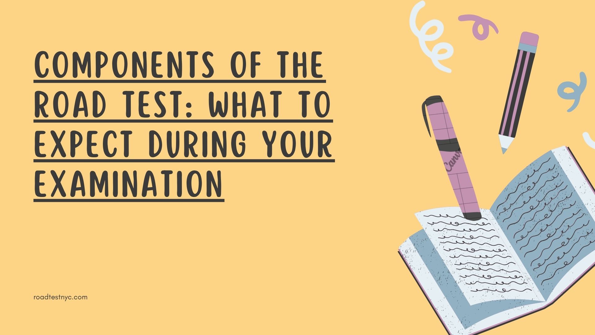 Components of the Road Test: What to Expect During Your Examination